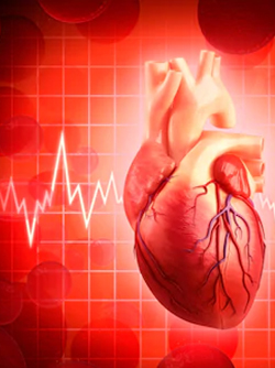 Electrocardiography